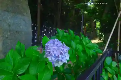 泉神社(茨城県)
