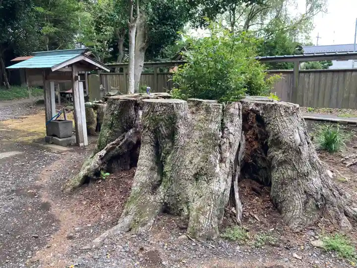笠原神社(茨城県)