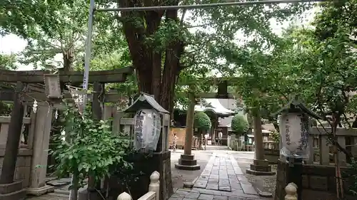 小野照崎神社の鳥居
