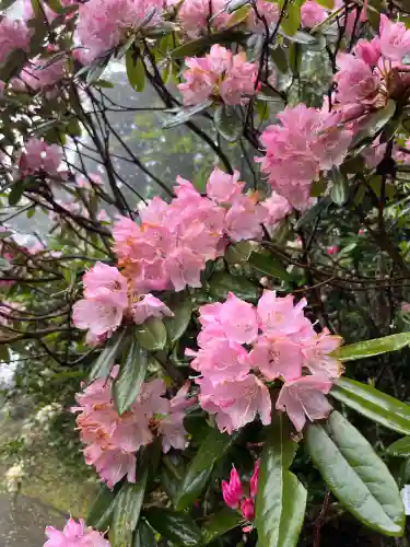 福成寺(広島県)