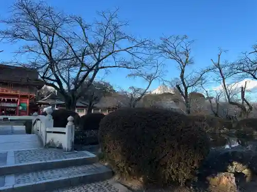 富士山本宮浅間大社(静岡県)