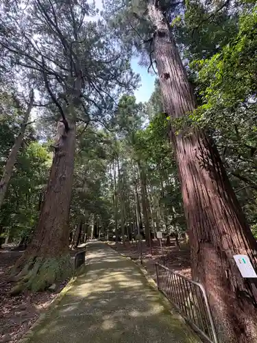 若狭彦神社（上社）(福井県)