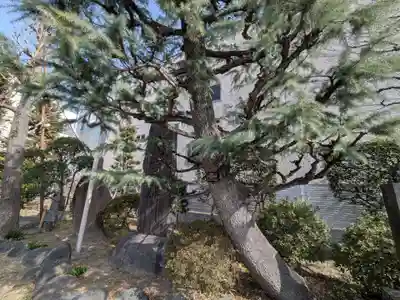 惠明寺(東京都)