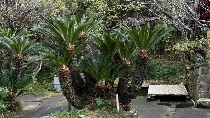 洲崎神社(千葉県)