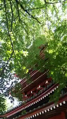 本土寺のその他建物