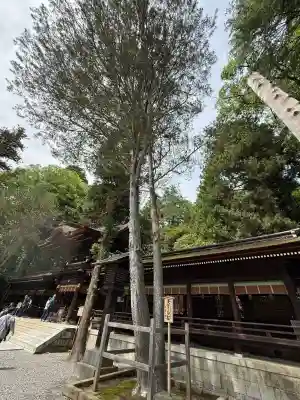 諏訪大社下社秋宮(長野県)