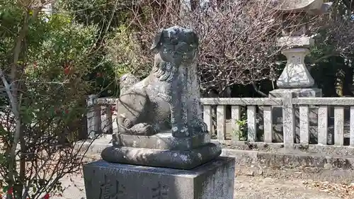 中津神社の狛犬