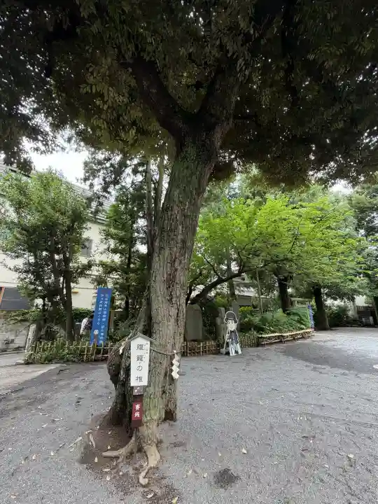 七社神社(東京都)