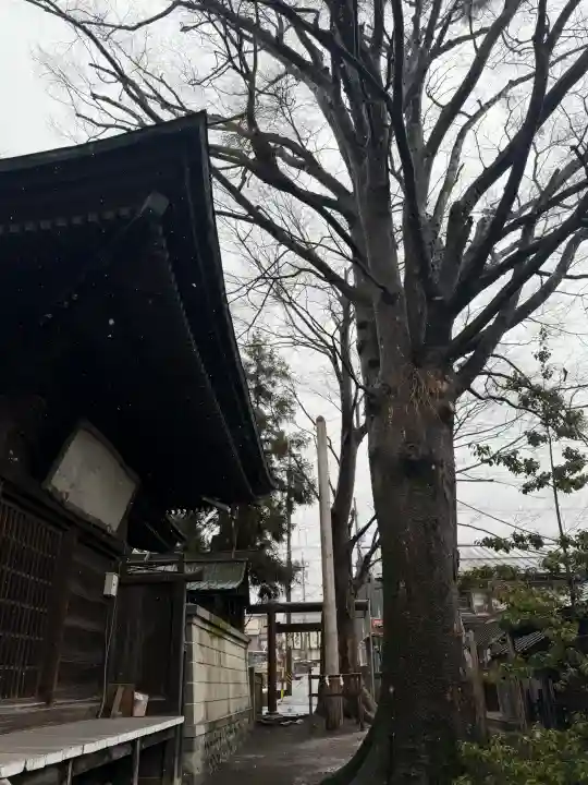 八剣神社の{uncategorized: "未分類", other: "その他", undefined: "問題あり", building: "その他建物", grave: "お墓", sacred_gate: "鳥居", guardian: "狛犬", statue: "像", buddha: "仏像", history: "歴史", nature: "自然", garden: "庭園", animal: "動物", pagoda: "塔", temizu: "手水舎", mountain_gate: "山門・神門", sanctuary: "本殿・本堂", subordinate: "末社・摂社", art: "芸術", scenery: "景色", jizo: "地蔵", ema: "絵馬", goshuin: "御朱印", omikuji: "おみくじ", items: "授与品その他", amulet: "お守り", goshuincho: "御朱印帳", eats: "食事", festival: "お祭り", votive_dance: "神楽", shichigosan: "七五三参", wedding: "結婚式", experience: "体験その他", initially: "初詣", around: "周辺", anti_infection: "感染症対策"}