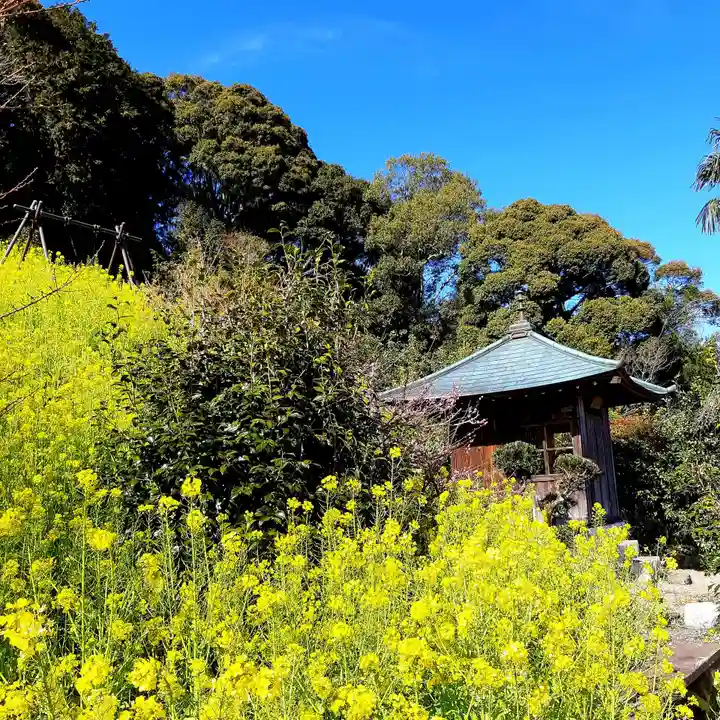 金龍寺のその他建物