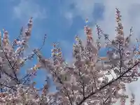 志苔館(和人殉難御霊・阿伊怒悵魂御霊慰霊碑)の自然