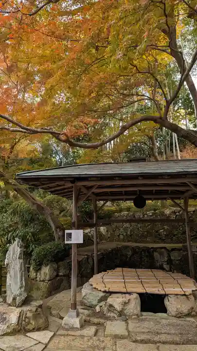 榮攝院(栄摂院)(京都府)