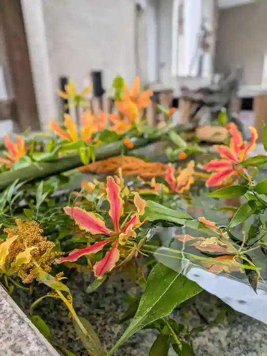 高円寺氷川神社(東京都)