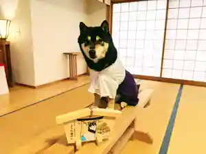 日本唯一香辛料の神 波自加彌神社の動物(2020年12月23日(水) 13時43分03秒投稿)