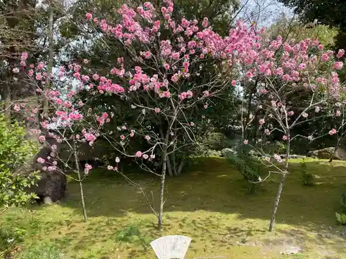 城南宮(京都府)