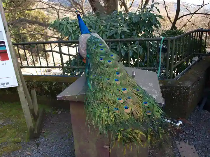 楽法寺(雨引観音)の動物