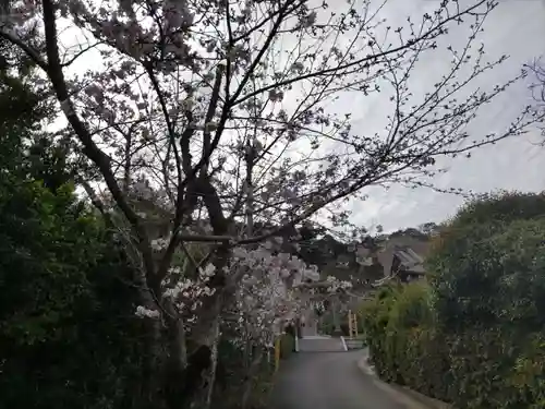 高家神社の自然