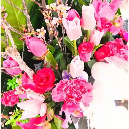 彌彦神社　(伊夜日子神社)の手水舎