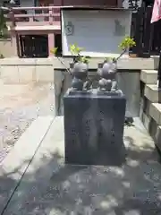 今戸神社の狛犬