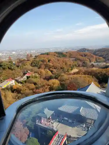 観音山慈眼院（高崎観音）の景色