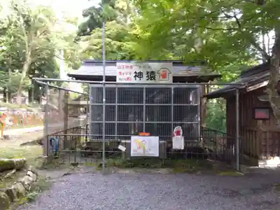 日吉大社(滋賀県)