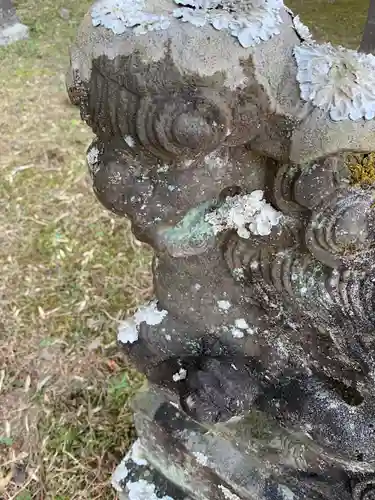 日吉神社の狛犬