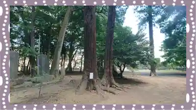 東蕗田天満社(茨城県)