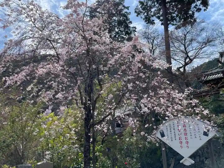 善峯寺(京都府)