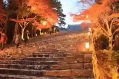 神護寺の建物その他