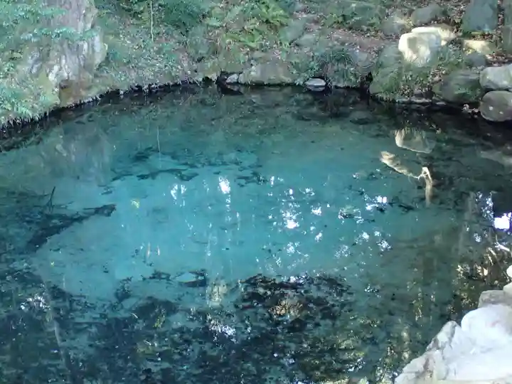 泉神社の自然