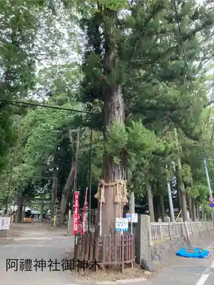 阿禮神社(長野県)