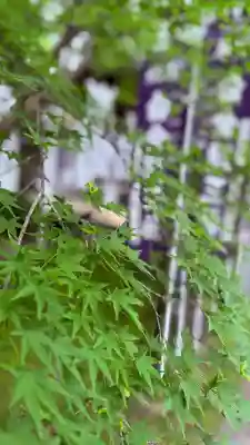 若宮神明社(愛知県)