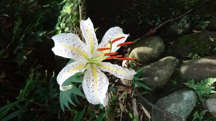 観音山慈眼院(高崎観音)の自然