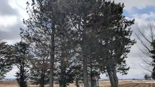 相馬妙見神社の自然