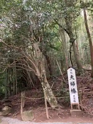 八重垣神社(島根県)