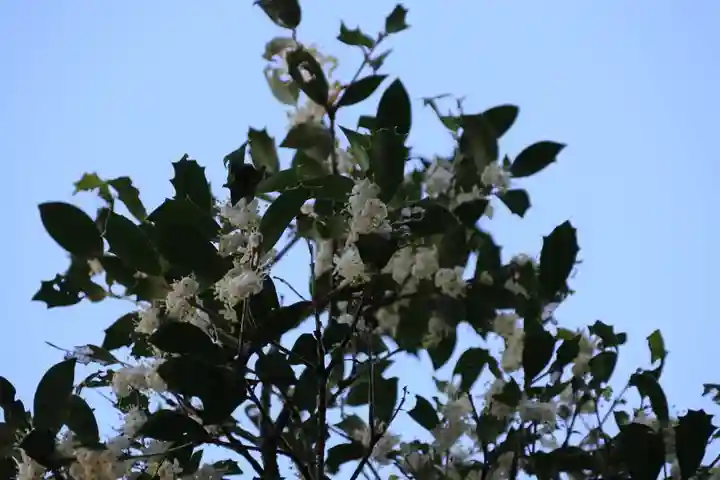 鹿島神社の庭園