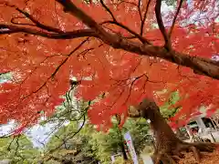 常磐神社(茨城県)