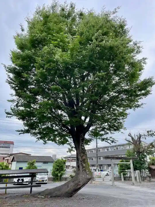 伊佐須美神社(群馬県)