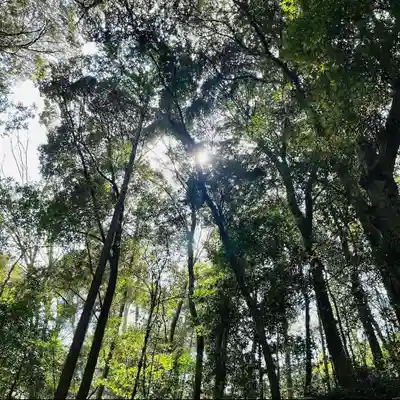 月讀宮（皇大神宮別宮）(三重県)