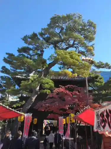 泉岳寺(東京都)
