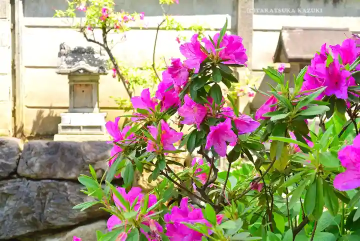 皆中稲荷神社(東京都)