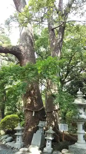 米之宮浅間神社の自然