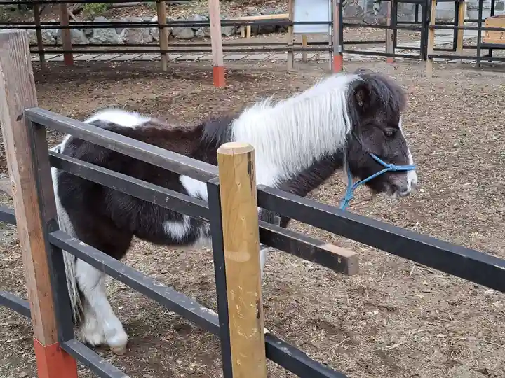 平塚八幡宮(神奈川県)