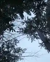 滑川神社 - 仕事と子どもの守り神(福島県)