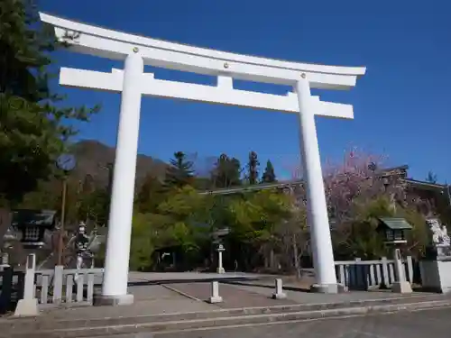 山梨縣護國神社の鳥居