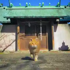 五香宮の動物