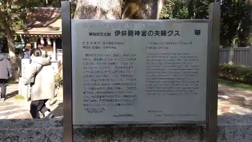 伊弉諾神宮(兵庫県)