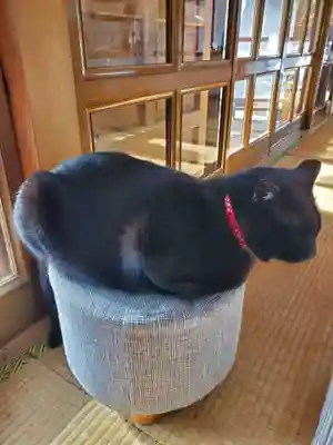 高司神社〜むすびの神の鎮まる社〜(福島県)