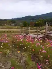 長岳寺の周辺