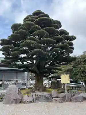 石川護國神社(石川県)